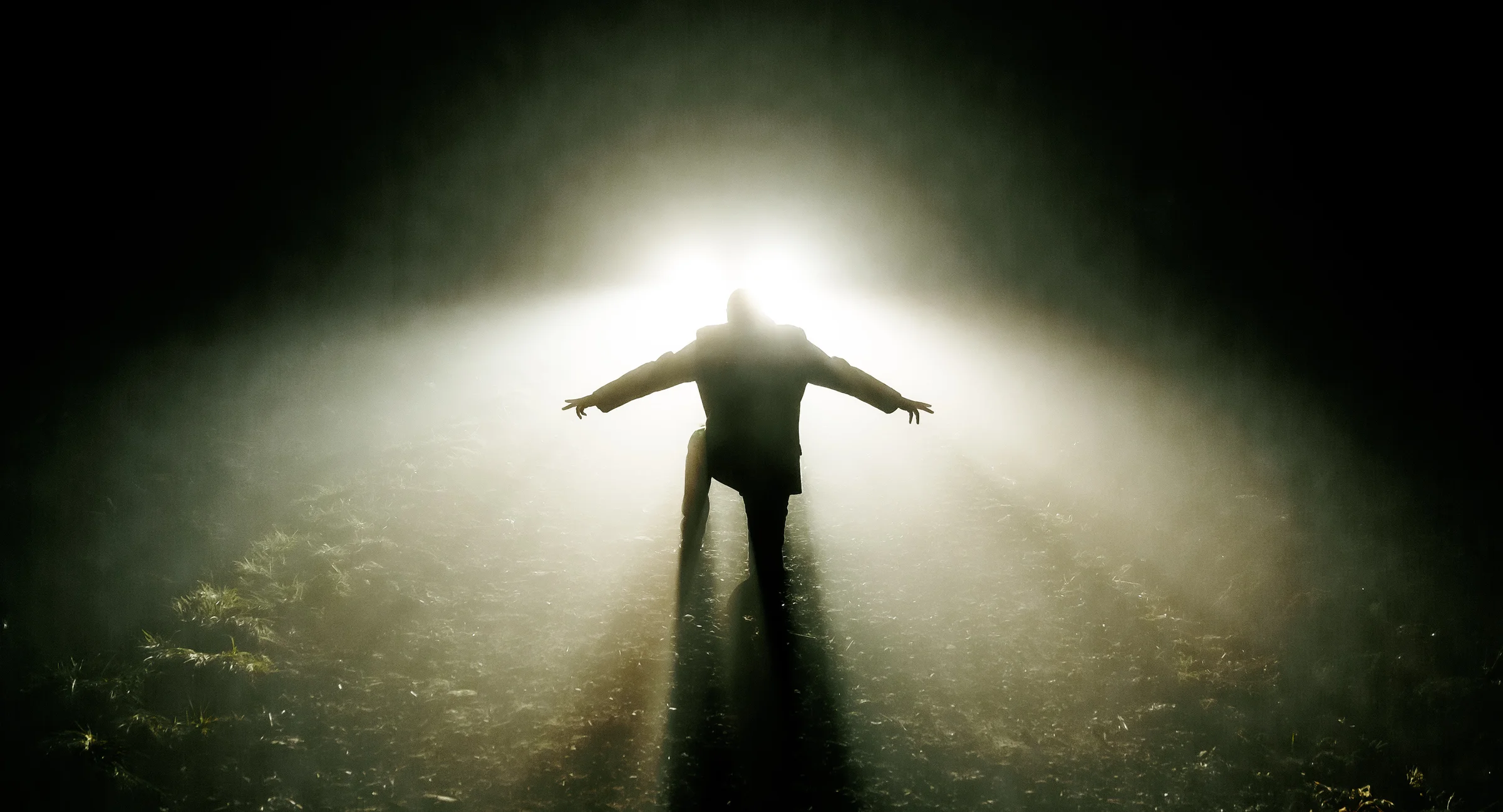 Im Gegenlicht